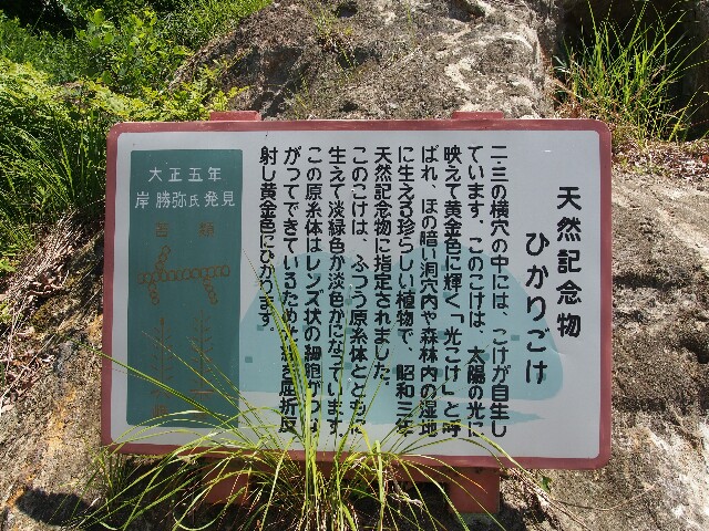 f:id:sakamotwin:20160602212204j:image f:id:sakamotwin:20160602212204j:image