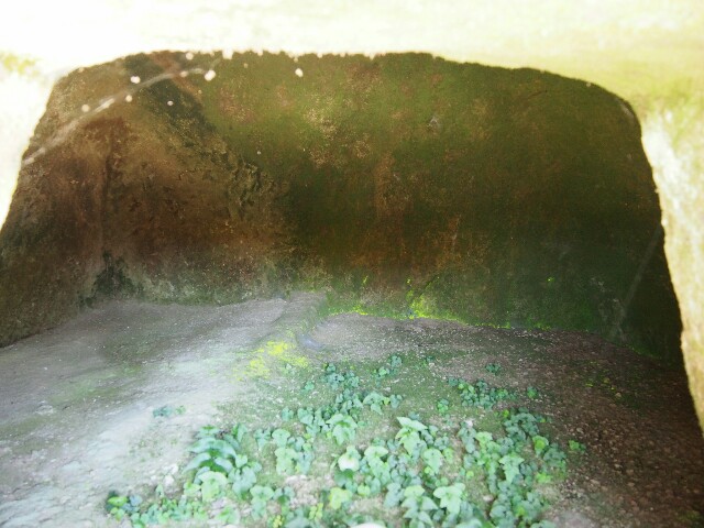 f:id:sakamotwin:20160602212454j:image f:id:sakamotwin:20160602212454j:image