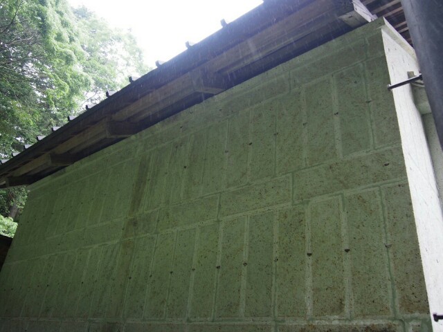 f:id:sakamotwin:20160608210230j:image f:id:sakamotwin:20160608210230j:image