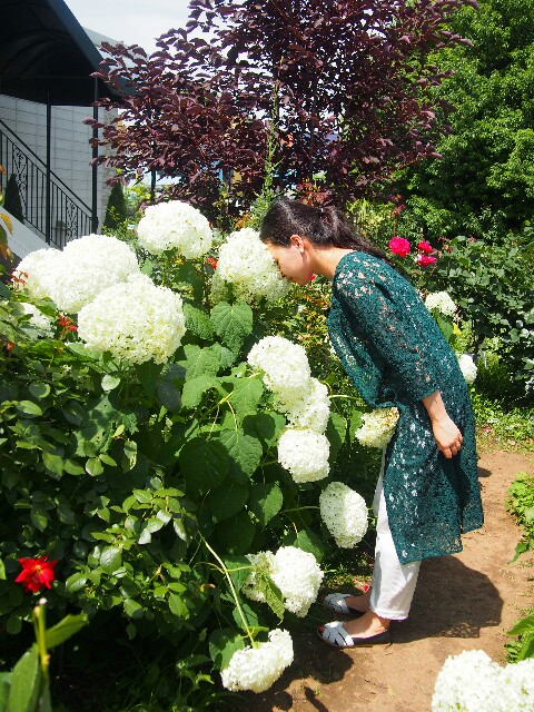 f:id:sakamotwin:20160611234414j:image f:id:sakamotwin:20160611234414j:image