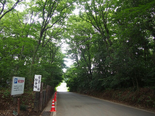 f:id:sakamotwin:20160616222022j:image f:id:sakamotwin:20160616222022j:image
