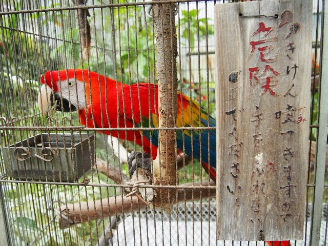 f:id:sakamotwin:20160617201844j:image f:id:sakamotwin:20160617201844j:image
