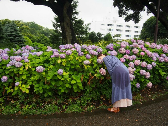 f:id:sakamotwin:20160628220121j:image f:id:sakamotwin:20160628220121j:image