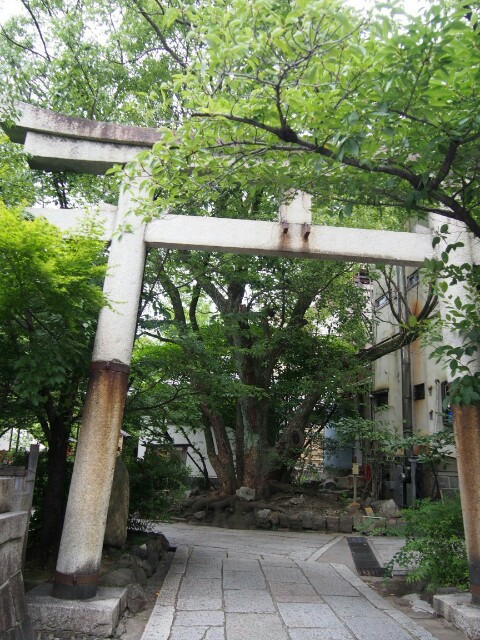 f:id:sakamotwin:20160706213556j:image f:id:sakamotwin:20160706213556j:image
