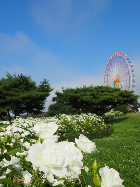 f:id:sakamotwin:20160719220610j:image f:id:sakamotwin:20160719220610j:image