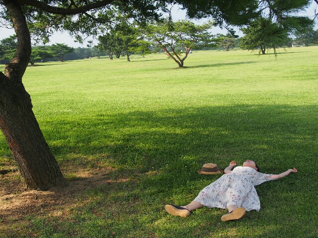 f:id:sakamotwin:20160719225522j:image f:id:sakamotwin:20160719225522j:image