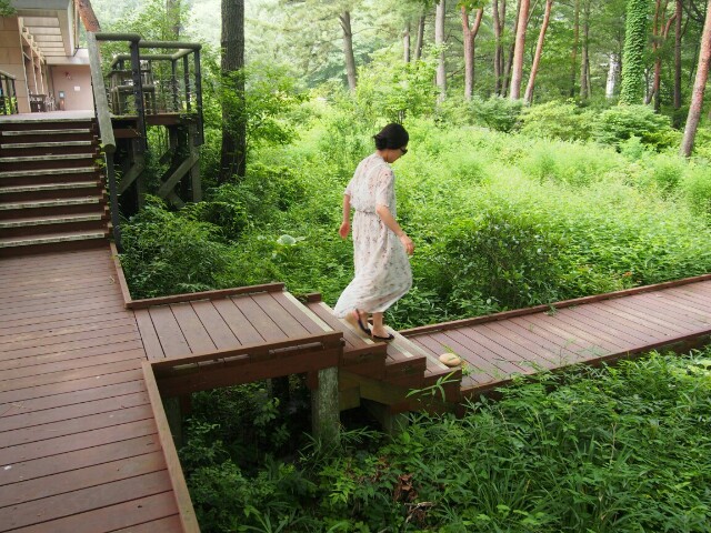f:id:sakamotwin:20160720200908j:image f:id:sakamotwin:20160720200908j:image
