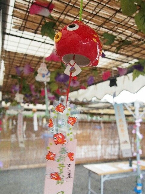f:id:sakamotwin:20160726215450j:image f:id:sakamotwin:20160726215450j:image
