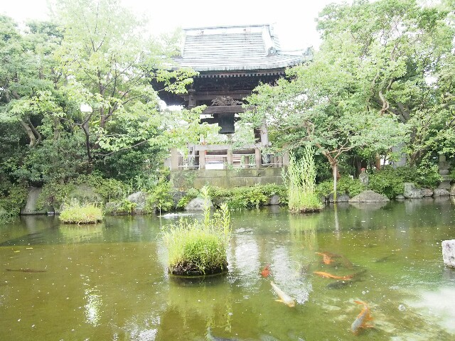f:id:sakamotwin:20160726215658j:image f:id:sakamotwin:20160726215658j:image