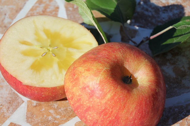 f:id:sakana-tensyu:20111202000308j:image