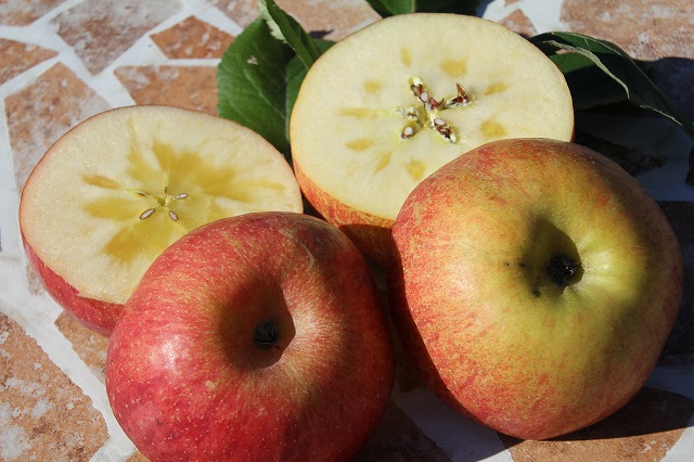 f:id:sakana-tensyu:20111202000354j:image