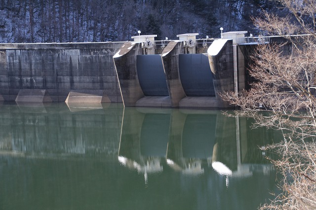 f:id:sakana-tensyu:20111229193110j:image