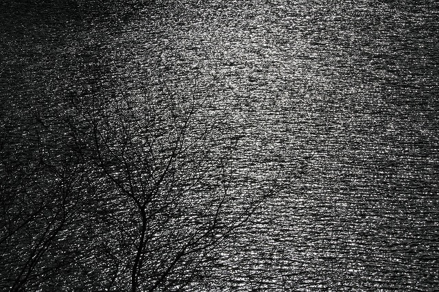 f:id:sakana-tensyu:20111229193419j:image