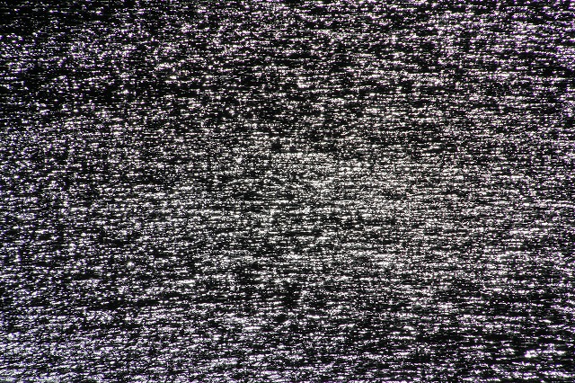 f:id:sakana-tensyu:20111229193420j:image