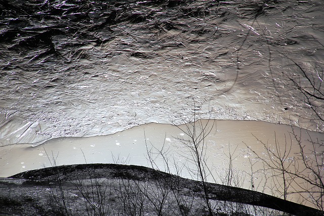 f:id:sakana-tensyu:20111229193423j:image