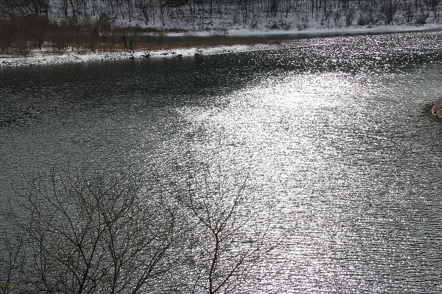 f:id:sakana-tensyu:20111229193523j:image