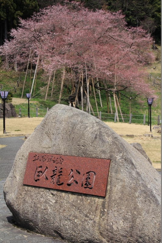 f:id:sakana-tensyu:20140421172256j:image