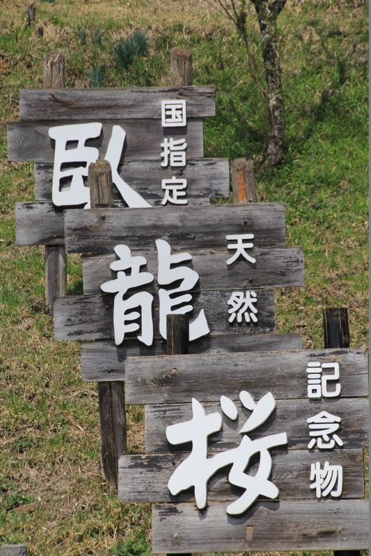 f:id:sakana-tensyu:20140421172454j:image