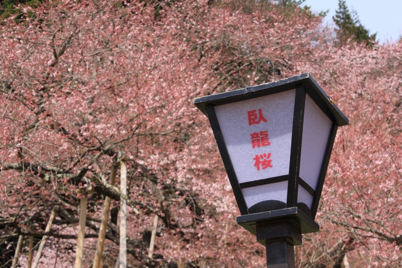 f:id:sakana-tensyu:20140421172622j:image