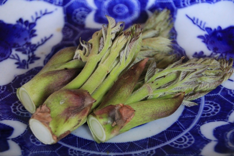 f:id:sakana-tensyu:20140425074828j:image