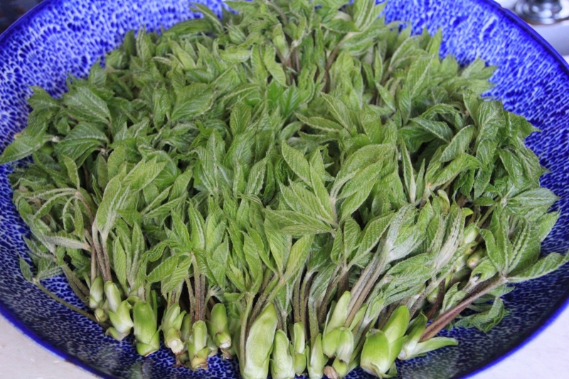 f:id:sakana-tensyu:20140425074832j:image