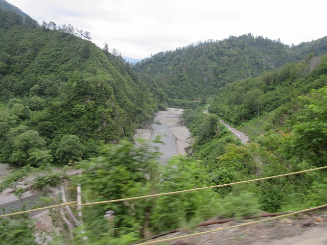 f:id:sakana-tensyu:20150708141840j:image