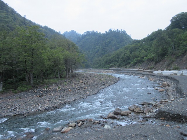 f:id:sakana-tensyu:20150708141844j:image