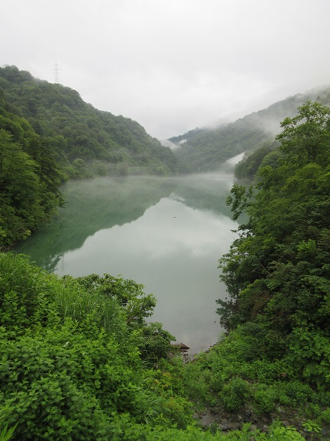 f:id:sakana-tensyu:20150708142021j:image