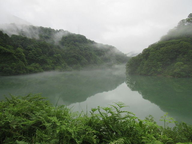 f:id:sakana-tensyu:20150708142038j:image