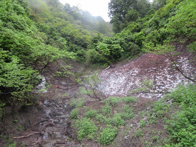 f:id:sakana-tensyu:20150708142039j:image