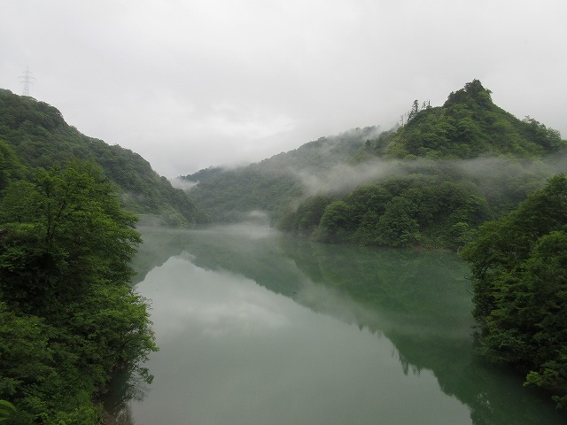 f:id:sakana-tensyu:20150708142041j:image