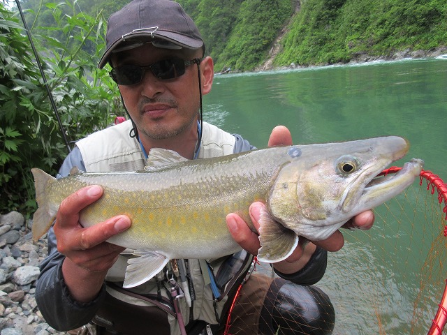 f:id:sakana-tensyu:20150708142556j:image