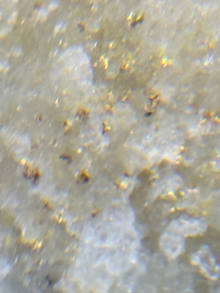 f:id:sakasamakun:20150930213744j:plain f:id:sakasamakun:20150930213744j:plain