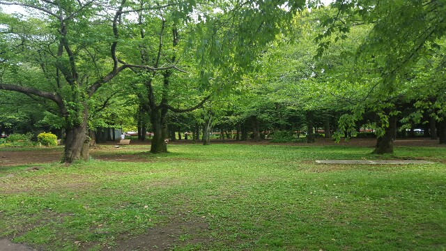 f:id:sakasuke:20160611011729j:image f:id:sakasuke:20160611011729j:image