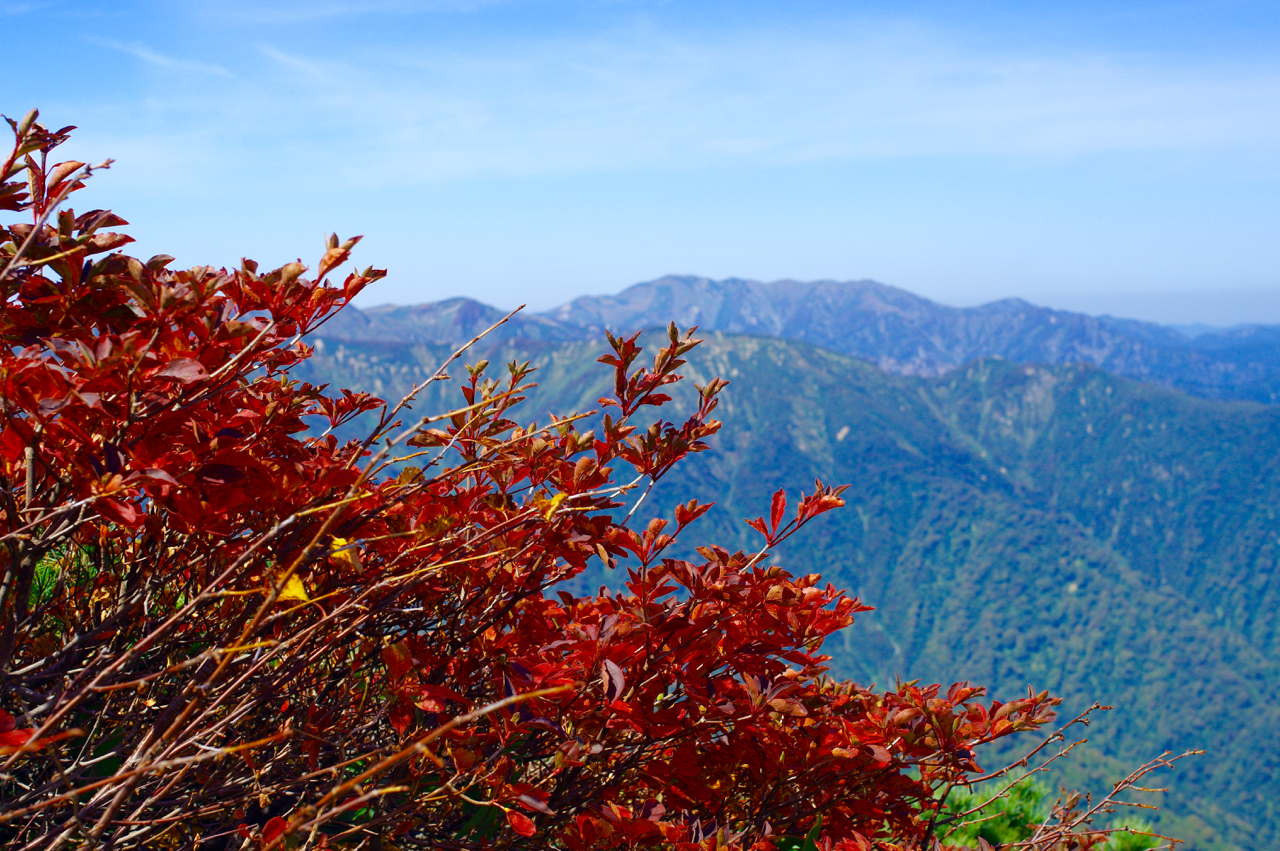 f:id:sakemaro:20151030094127j:plain