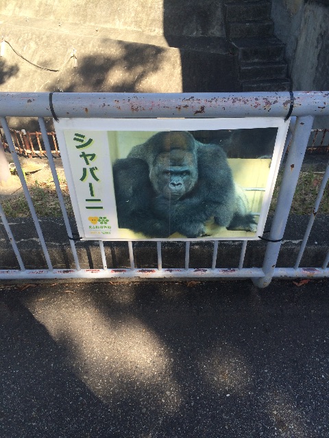 f:id:sakeumai:20151031135701j:image f:id:sakeumai:20151031135701j:image
