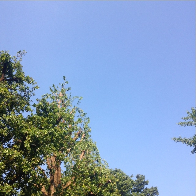 f:id:sakitus_yoga:20150513180758j:image f:id:sakitus_yoga:20150513180758j:image