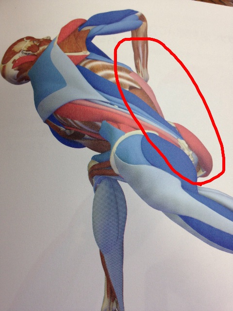f:id:sakitus_yoga:20150514110944j:image f:id:sakitus_yoga:20150514110944j:image