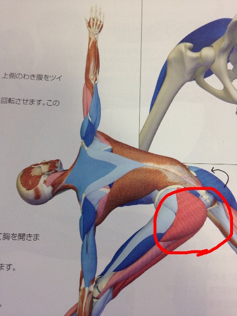 f:id:sakitus_yoga:20150514110957j:image f:id:sakitus_yoga:20150514110957j:image