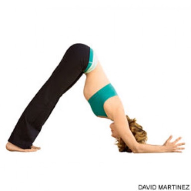 f:id:sakitus_yoga:20150526151800j:image f:id:sakitus_yoga:20150526151800j:image