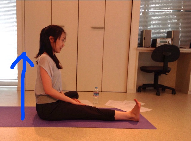 f:id:sakitus_yoga:20150612134528j:image f:id:sakitus_yoga:20150612134528j:image