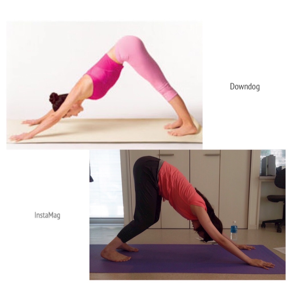 f:id:sakitus_yoga:20160310083111j:image f:id:sakitus_yoga:20160310083111j:image
