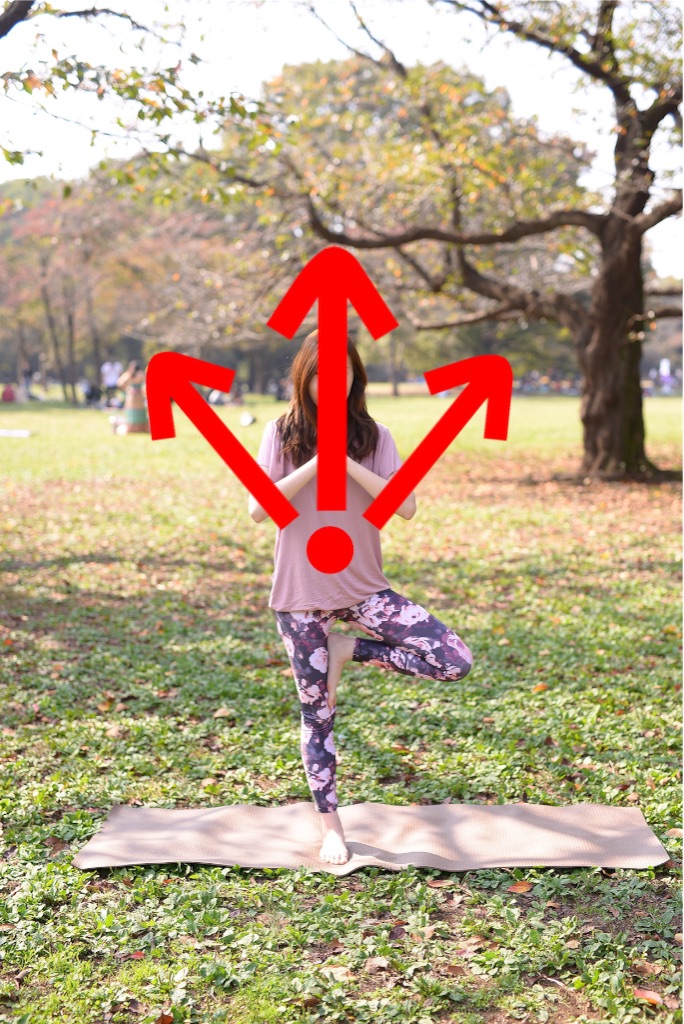 f:id:sakitus_yoga:20160318182315j:image f:id:sakitus_yoga:20160318182315j:image