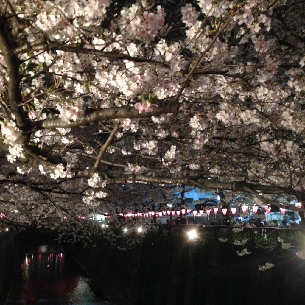 f:id:sakitus_yoga:20160403202850j:image f:id:sakitus_yoga:20160403202850j:image