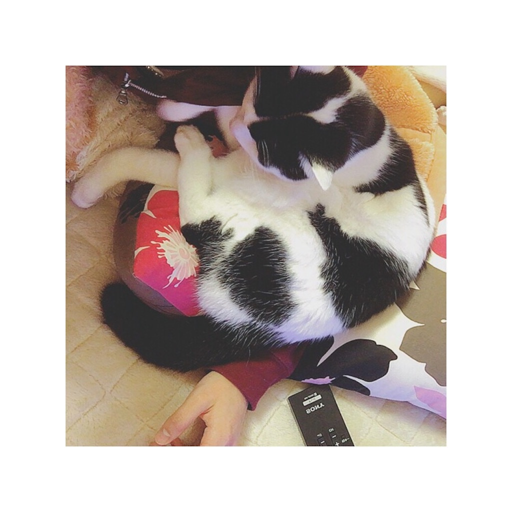 f:id:sakiufa23:20151209203347j:image f:id:sakiufa23:20151209203347j:image