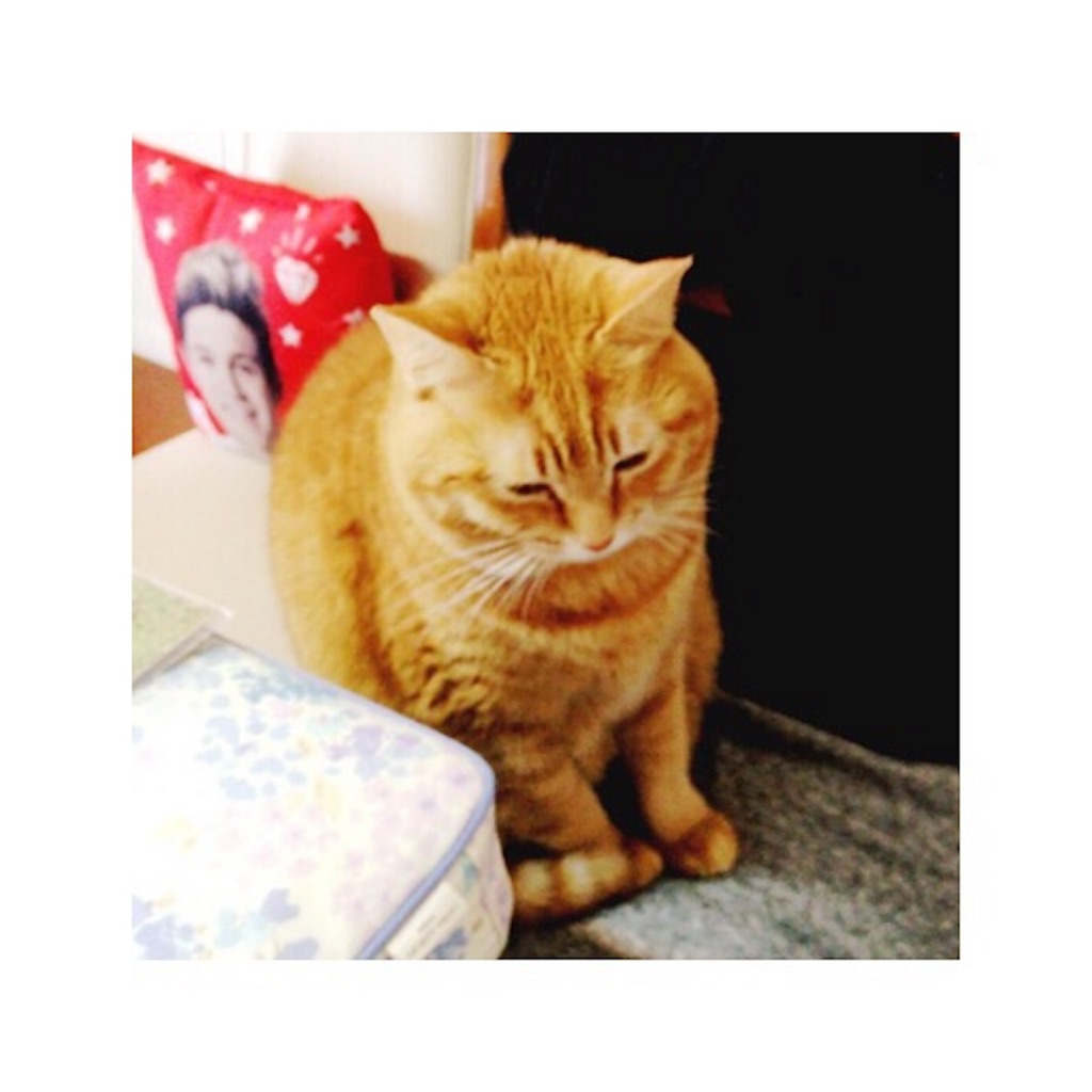 f:id:sakiufa23:20151227230636j:image f:id:sakiufa23:20151227230636j:image