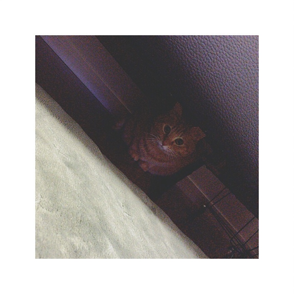 f:id:sakiufa23:20151229204954j:image f:id:sakiufa23:20151229204954j:image