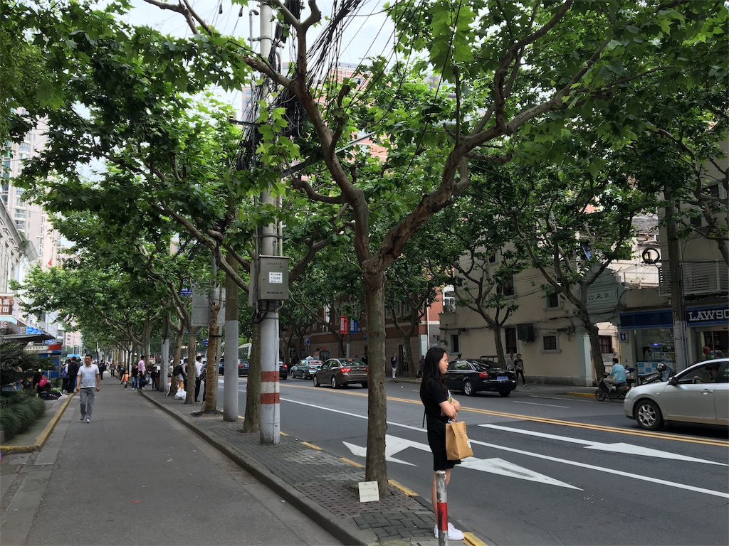 f:id:saku119:20160613181618j:image f:id:saku119:20160613181618j:image