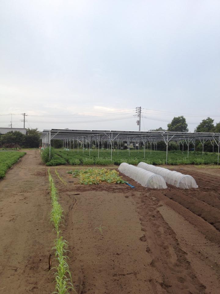 f:id:saku385:20150831051206j:plain f:id:saku385:20150831051206j:plain