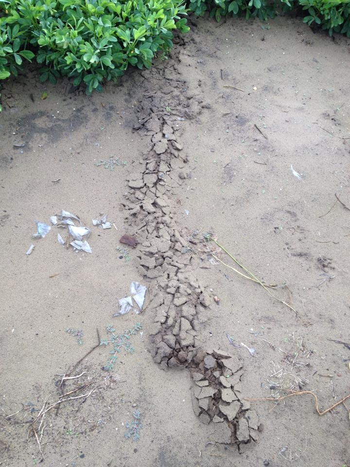 f:id:saku385:20150831051215j:plain f:id:saku385:20150831051215j:plain